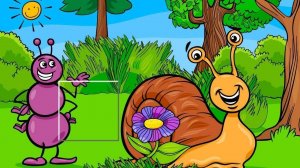 Wildlife Photo Tile Puzzles