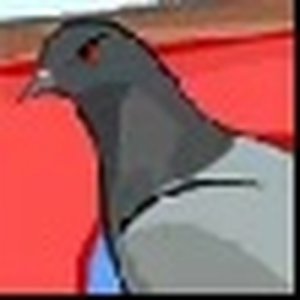 Feathered Follies 2 Precision Clicker