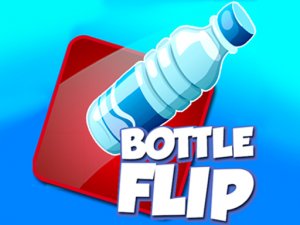 Bottle Flip 3D Action Game