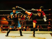 Fighters in the Ring Puzzle Game - Jigsaw Puzzle Game