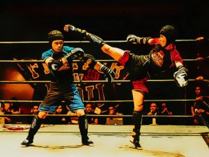 Fighters in the Ring Puzzle Game - Jigsaw Puzzle Game