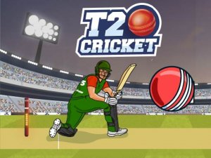 T20 Cricket Online Game Sports Game