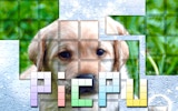 PicPu-Dog: Online Photo Puzzle Game - Jigsaw Puzzle Game