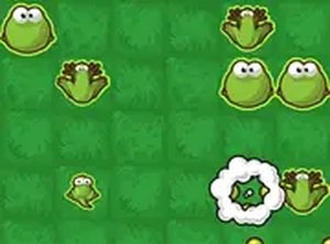 Amphibian Growth Chain Puzzle